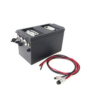 24V50AH BATTERY-1